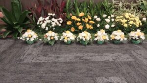 WhatsApp Image 2025-10-21 at 10.44.45