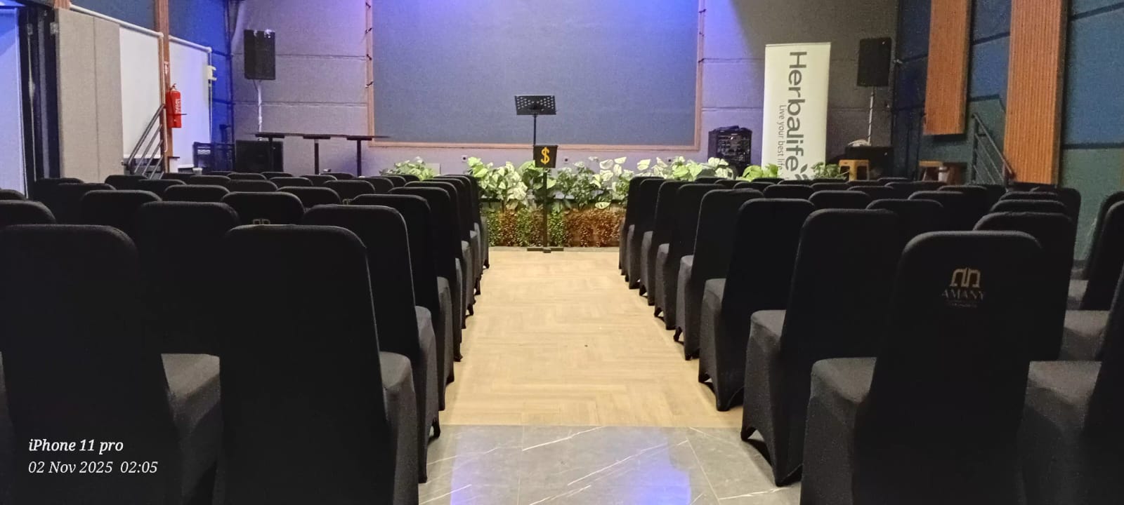 Sewa Kursi Futura Jakarta Pusat | Termurah No.1 Sejakarta Kursi Elegan untuk Acara Spesial